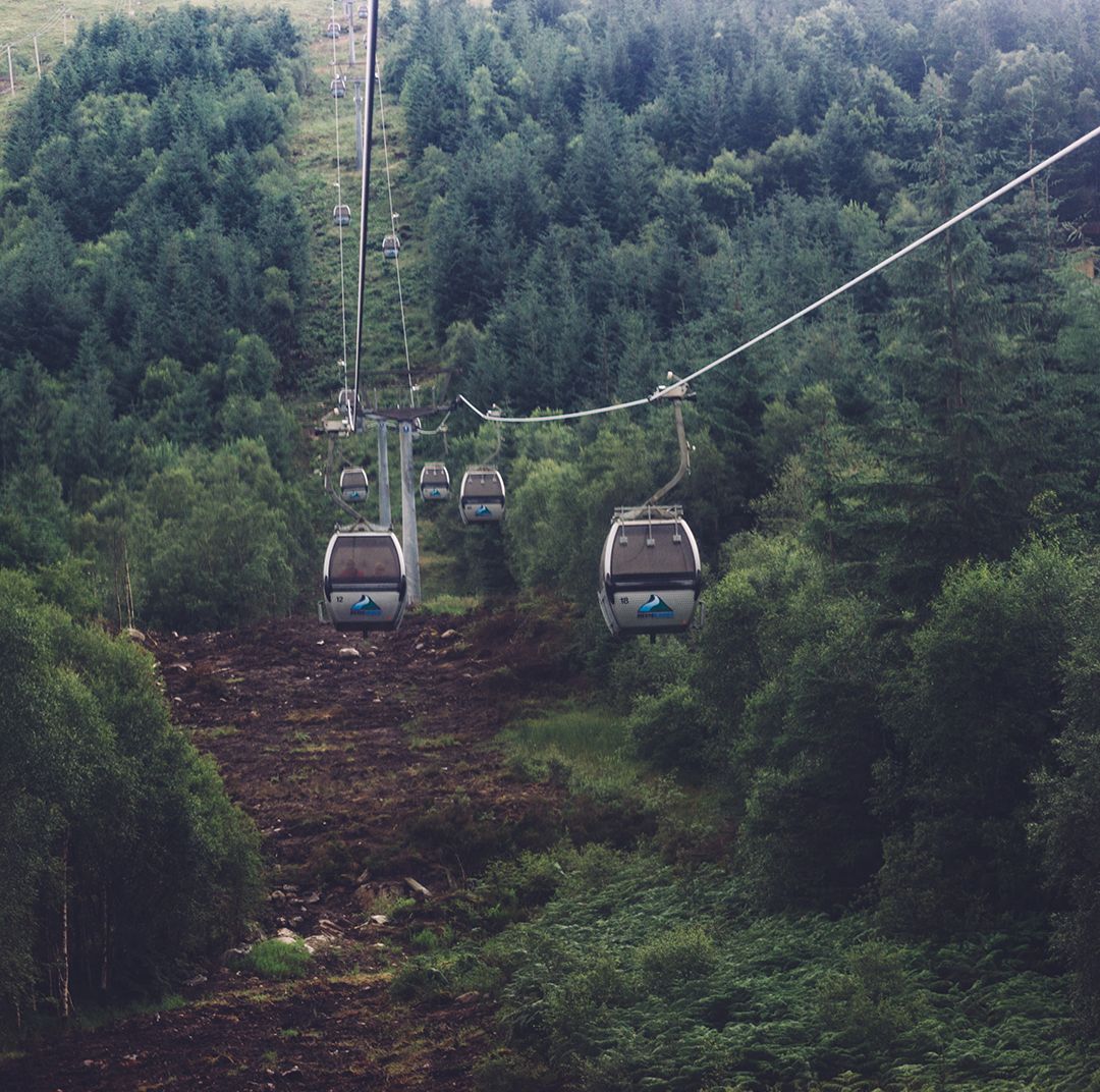 Ropeway over forest